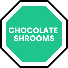 buy mushroom chocolate Bars